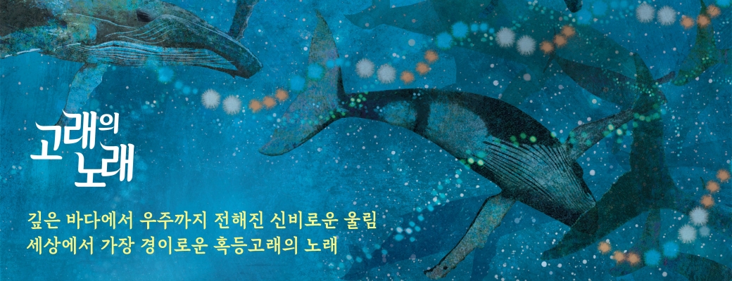 고래의 노래